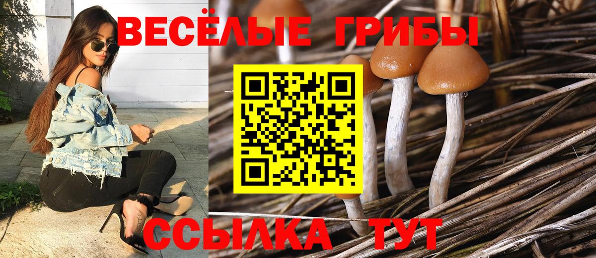 наркошоп  Вход с VPN  Воркута  Псилоцибиновые грибы Psilocybine cubensis 